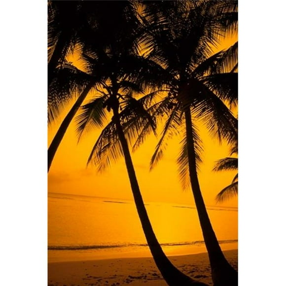 Danita Delimont PDDCA27BBA0021B Sunset & Palms San Juan Puerto Rico Poster Print by Bill Bachmann, 24 x 36