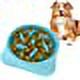 thumbnail image 2 of Jinsinto Slow Feeding Bowl. Anti-Glutton Diet Pet Bowl, 2 of 5