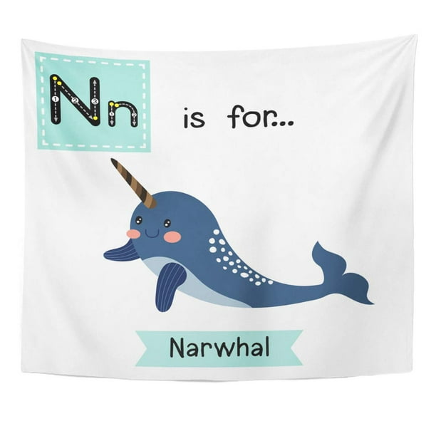 Zealgned Colorful Abc Cute Children Zoo Alphabet N Letter Tracing Dark Blue Narwhal Learning English Vocabulary Wall Art Hanging Tapestry Home Decor For Living Room Bedroom Dorm 51x60 Inch Com - Narwhal Home Decor