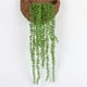 thumbnail image 4 of Suculentas artificiales Perlas Hiedra carnosa Flores colgantes Verde, 4 of 9