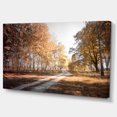 thumbnail image 2 of Straight Road in Fall Birch Grove - Modern Forest Canvas Art, 2 of 3