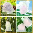 thumbnail image 7 of 50 Pieces Fruit Protection Bags-Bexikou 6x4 Inch Fruit Netting Bags with Drawstring,Garden Fruit Cover Mesh Bag to Protect Plants from Pest Birds Squirrels, 7 of 7
