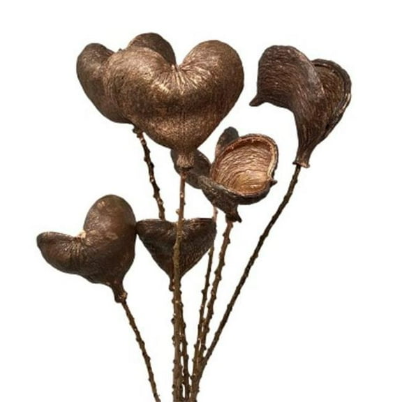 Metrotex Designs 41235 24 in. 7 Stem Badam Nut Pod Twig Bunch, Copper Washed