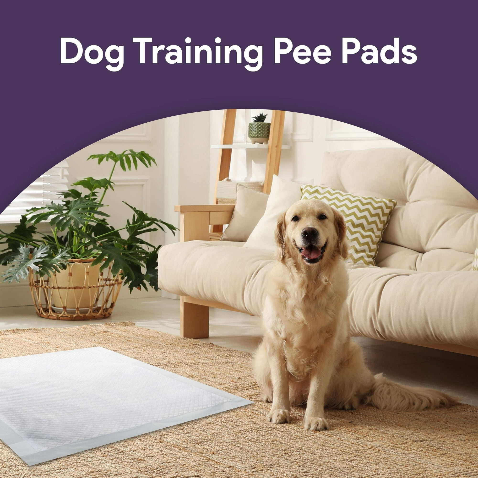 ProHeal XL Underpads, [100 ct.] Disposable Chucks Bed Pads for Incontinence, 30” x 36” Chux, Waterproof Bed Protector