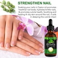 thumbnail image 6 of ALIVER Jamaican Black Castor Hair Care Oil, Cold Pressed - 2 Pack, 6 of 7