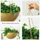 thumbnail image 4 of Maceta colgante, macetas de hierro, maceta colgante, macetas verdes, macetas colgantes para orquídeas, verdadera excelencia, 4 of 8