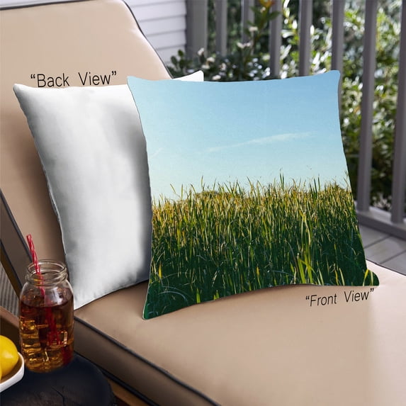 Ahgly Company Plants Grass Outdoor Throw Pillow, 18 inch by 18 inch