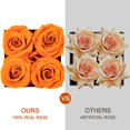 thumbnail image 3 of Regalo de cumpleaños Preserved Rose Impouo Eternal Love para ella, 3 of 6