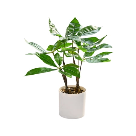Artificial Bonsai Tree Fake Bonsai Tree Desk Plants Room Decor for Men Indoor Potted Plants Mini Flowerpot Plastic Simulation Round Ornament for Front Door Festival Wedding Windowsill Entrance