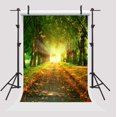 thumbnail image 2 of EREHome Polyester Fabric 5x7ft Photography Backdrops Old Tress Sunshine Background Defoliation Summer&Autumn Scenery Photo Props, 2 of 2