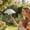 A, variant on weibbin Bird Feeder Rain Guard Large Waterproof Clear Shield for Bird Feeder Squirrel Cover Dome Plastic