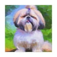 thumbnail image 1 of Cute Shih Tzu Puppy - Canvas, 1 of 10