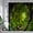 25, variant on Nature Forest Landscape Shower Curtains Green Plants Trees Rainforest Scenery Garden Wall Hanging Home Bathroom Decor with