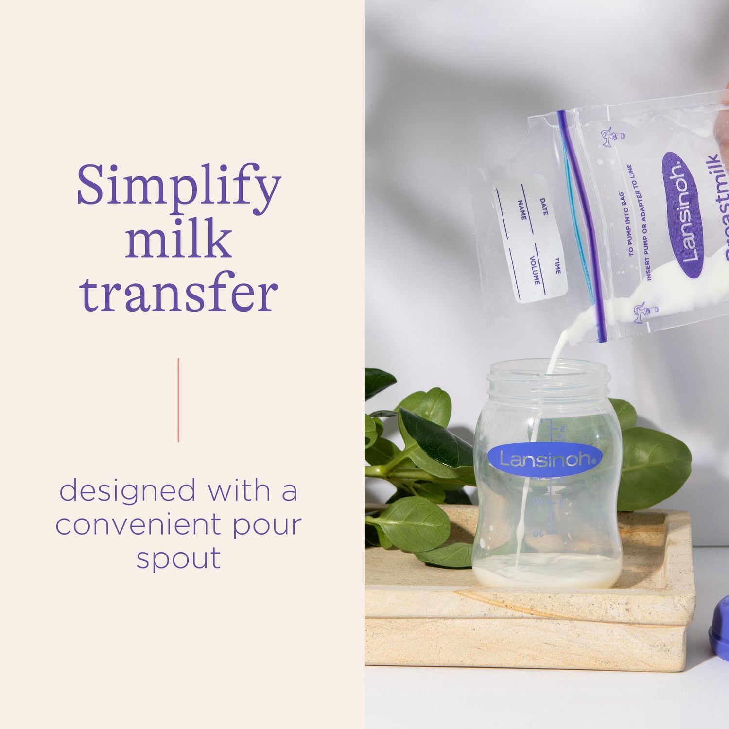 Lansinoh Breastmilk Storage Bags, 100 Count, Baby Essentials, Fast Freeze & Thaw Breast Milk Bags, 6 Oz, Superior Strength & Stretch 6oz/180ml, Sacs préstérilisés