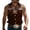Brown, variant on Western Shirts For Men Sleeveless Button Collar Cowboy Embroidered Shirt Regular Fit Business Work Office Tee With Floral Design Sky Blue XXXXXL