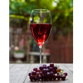 thumbnail image 2 of Vino Tinto Navarro Correas malbec cabernet merlot 750 ml, 2 of 2