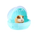 thumbnail image 4 of OULII Portable Pet Trolley Case in Green Color for Small Animals and Pet Owners 1Pcs, 4 of 6
