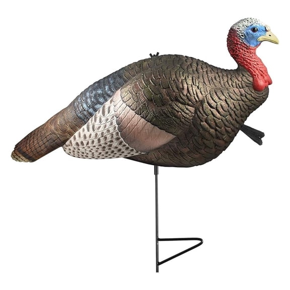 Half Strut Jake Decoy, Realistic Jake Turkey Decoy with 2-Piece Stake