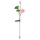 thumbnail image 5 of Luz solar de flores IP65 Luz LED solar impermeable con enchufe de tierra para jardín, patio, patio (LED colorido de flor rosa), 5 of 5