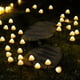 thumbnail image 3 of Luces solares al aire libre impermeables, lámparas solares LED luces de jardín al aire libre, luces de cadena de hadas de hongos, 3,8 m 12 luces, 3 of 6