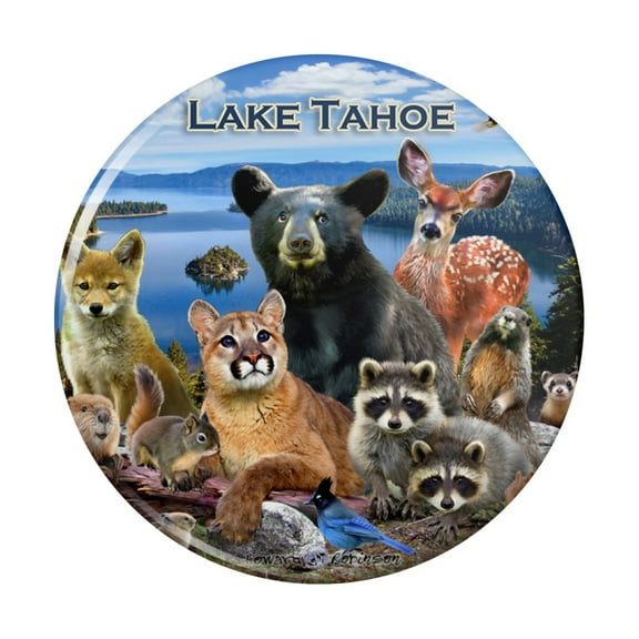 Lake Tahoe California CA Nevada NV Animals Bear Cougar Deer Kitchen Refrigerator Locker Button Magnet