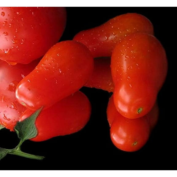 Tomato Seeds ?San Marzano? - Large Plum (Roma) Sauce-Type Tomato with Intense Flavor | Heirloom Seeds by Liliana's Garden |