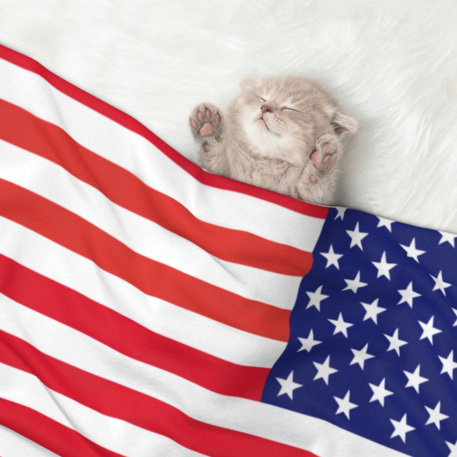 America Flag Patriotic Dog Blanket Soft Warm Flannel Cat Blanket Great Pet Throw for Cats Puppy Small Medium Large Dog