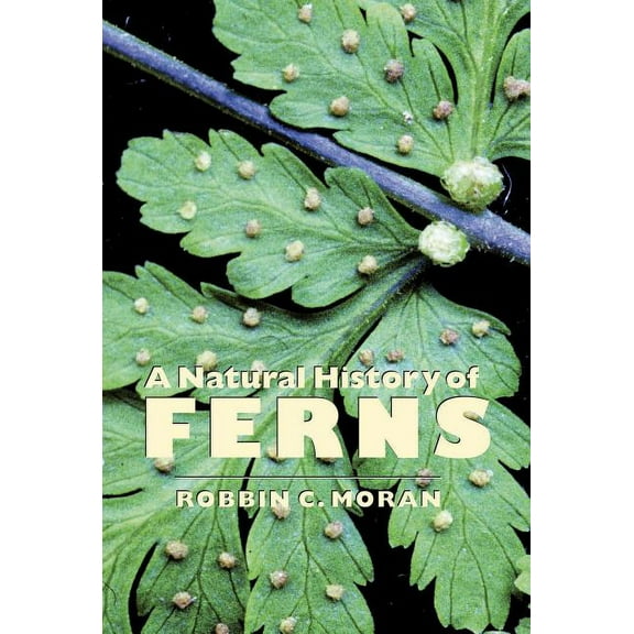 A Natural History of Ferns, (Paperback)