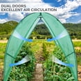 thumbnail image 6 of EAGLE PEAK 5.9' x 5.9' x 6.6' Outdoor Walk-in Tunnel Greenhouse with 2 Zippered Doors, Roll-up Mesh Windows, PE Cover, Green, 6 of 8