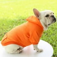 thumbnail image 5 of Autumn Winter Pet Sweater with Denim Pocket Two Legged Sports Style Outfit for Dogs and Cats, 5 of 8