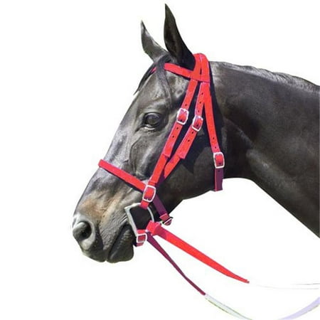 - Intrepid International 159175R Race Horse Bridle Nylon with Reins add Curb Strap, Red