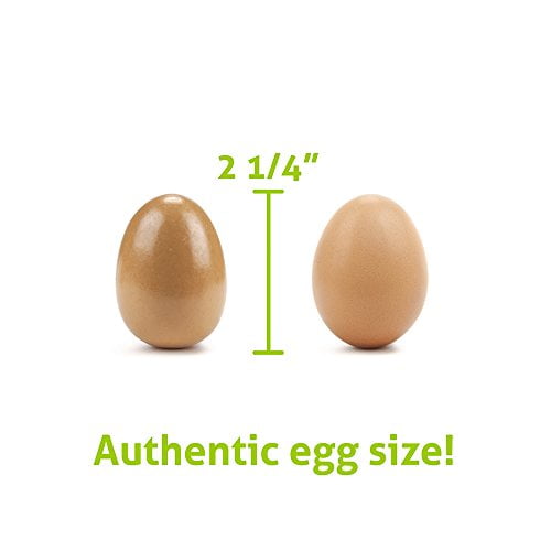 Eggcellent Eggs with Real Carton by Imagination Generation Wood Eats