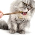 thumbnail image 1 of Labymos 5 uds Catnip Silvervine Stick Palo de Vid de Plata Natural Para Gatos, 1 of 7