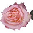 thumbnail image 4 of Mainstays Artificial Rose Stem, 4 of 6