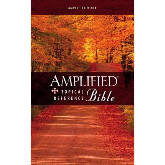 Pre-Owned Amplified Topical Reference Bible, Hardcover (Hardcover) 0310934745 9780310934745