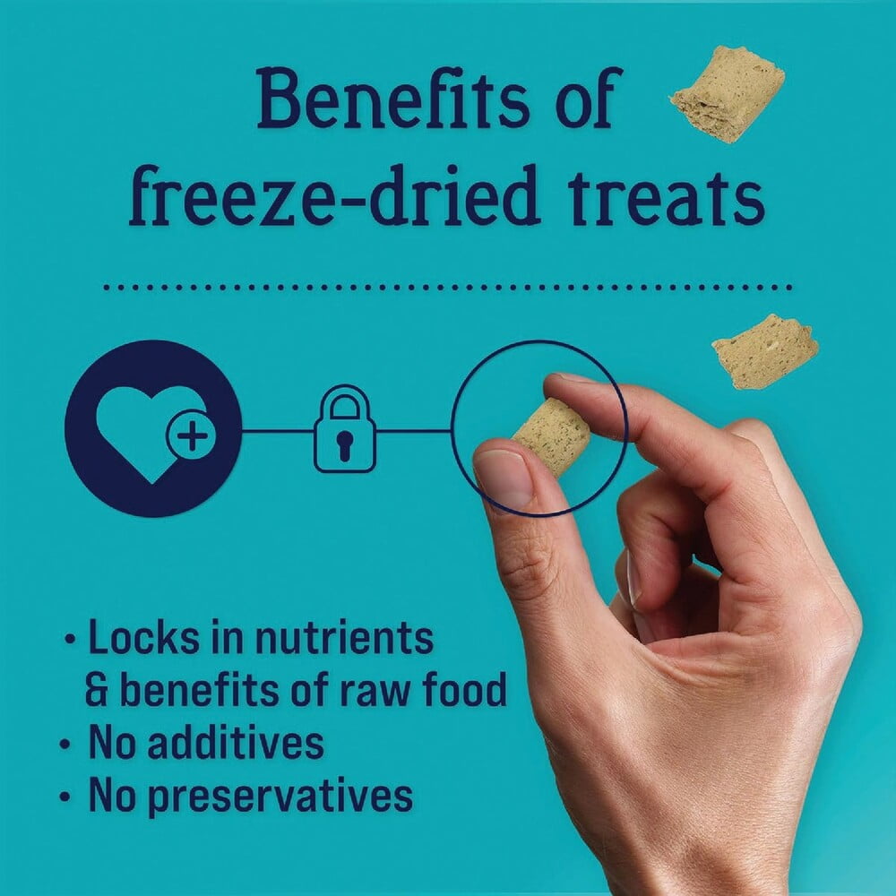 Stewart Immunity 8 Oz. Freeze-Dried Chicken Dog Treats 405334