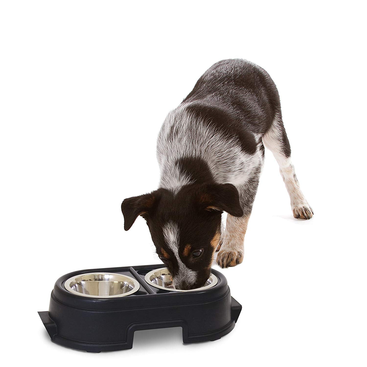 our pets dog feeder