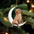 thumbnail image 2 of JJKBVCLO Car Interior Rearview Pet Dog Flat Pendant Pendant Gift, 2 of 2