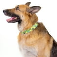 thumbnail image 3 of Country Brook Petz® Margarita Argyle Martingale with Premium Buckle, 3 of 7