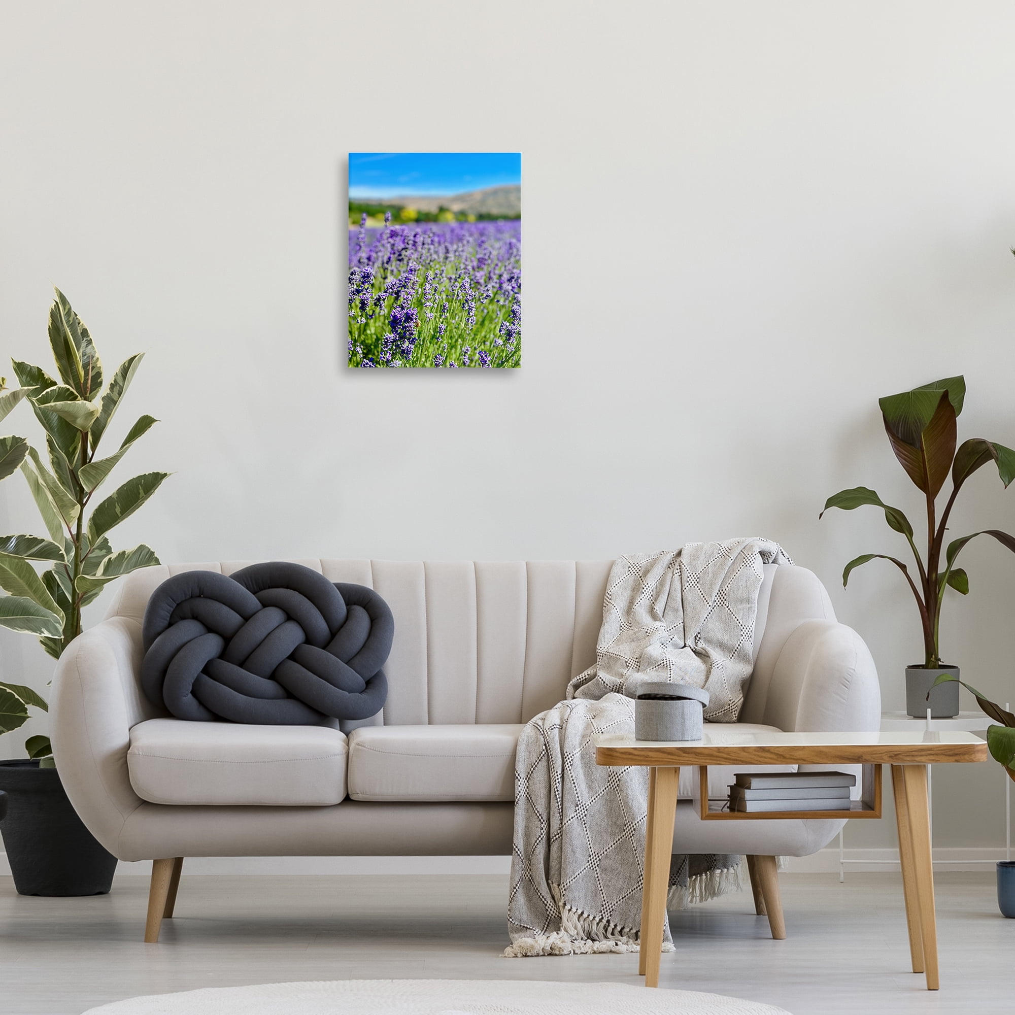 Stupell Industries Lavender in the Wind Landscape Photography Gallery Wrapped Canvas Art Print Wall Art, 16 x 20