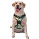 thumbnail image 1 of Fotbe Bull Charging Through Waves Arnés para Perro con Estampado –Chaleco Ajustable Acolchado con Asa de Control para Perros Grandes-Small, 1 of 6