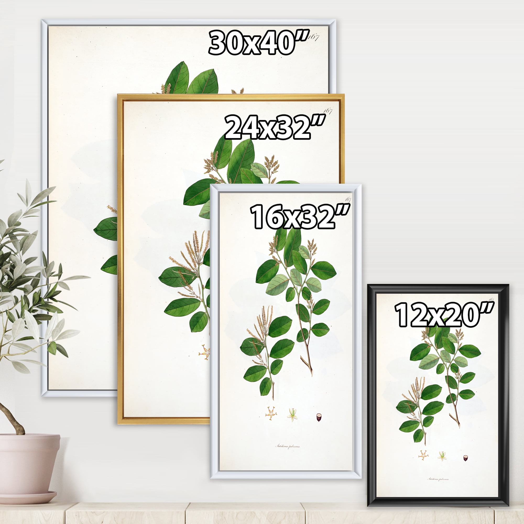 Designart 'Ancient Plant Life XIX' Farmhouse Framed Canvas Wall Art Print