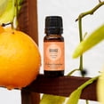 thumbnail image 2 of Edens Garden Orange Around The World Essential Oil- 100% Pure Premium Grade, Undiluted, Natural, Therapeutic, Aromatherapy, The Best for Diffuser, Skin, Candle, Laundry 118 ml (4 fl oz), 2 of 9