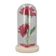 thumbnail image 2 of Decoración De Cristal Iluminada, Hermosa, Elegante, Firme, Luz Blanca Cálida, Cristal Artificial Para Dormitorio, 2 of 7
