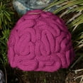 thumbnail image 5 of Uqiangy Halloween Hat Crochet Cerebrum Adults Personality Brain Cap Knitted Kids Hat Caps Thinking Cap Silly Hat Hot Pink, 5 of 6