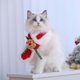 thumbnail image 3 of Lindo collar navideño de invierno para gato con capucha para celebraciones de Año Nuevo, 3 of 7