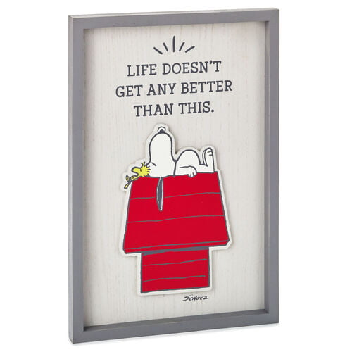 Snoopy & Woodstock Framed Be the Best you can be 