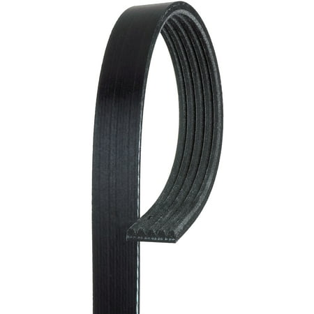 ACDelco Professional 5K365 Standard V-Ribbed Serpentine Belt Fits 1989 Honda Accord