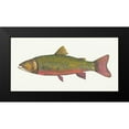 thumbnail image 2 of Prahl, Courtney 18x11 Black Modern Framed Museum Art Print Titled - Angling in the Stream II, 2 of 5