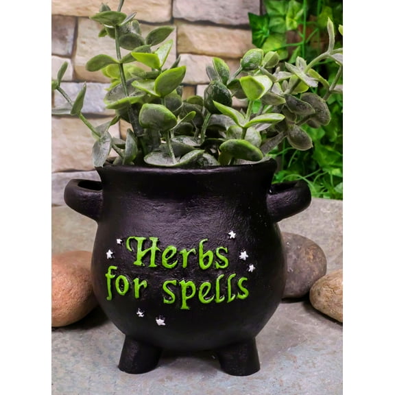 Green Thumb Gardening Black Witchcraft Herbs For Spells Cauldron Planter Pot 5"D